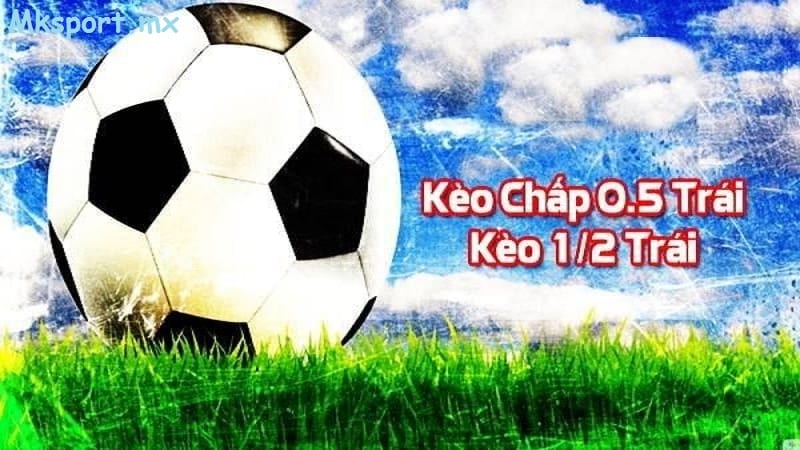 Tìm hiểu mẹo chấp 1-2 hay nhất tại nhà cái mk sport