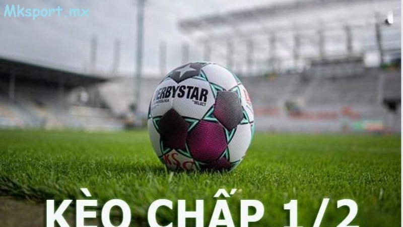 Vài lưu ý khi đặt cược kèo chấp 1-2 tại mksport