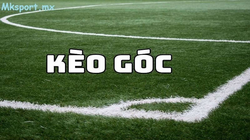 Vài mẹo để chơi cược đọc kèo phạt gốc tại mk sport cực đúng