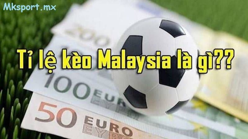 Tìm hiểu về tỷ lệ kèo malaysia tại nhà cái mk sport