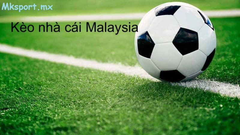 Chiến thuật chơi kèo malaysia luôn chính xác cực chuẩn tại mk sport